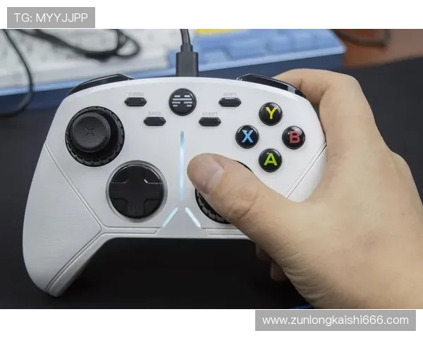 凯时网址最新入口提供安全稳定的登录体验让你轻松畅享精彩游戏内容