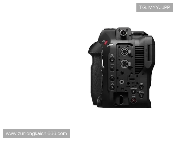 尊龙z6地址平台账号登录遇到问题怎么办，解决方案全攻略