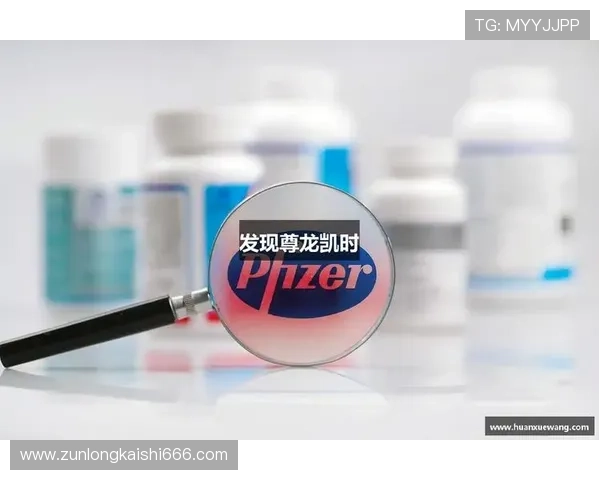 尊龙凯时平台简介：全面介绍平台的历史背景与发展历程