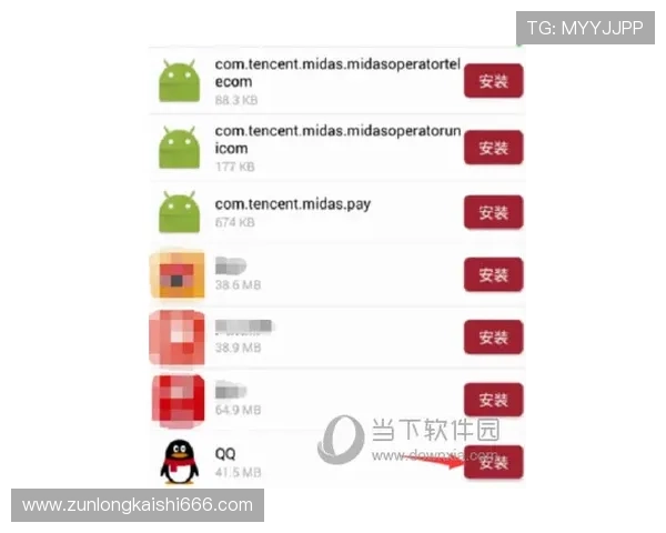 尊龙APP会员登录界面常见问题及排查方法全面解析