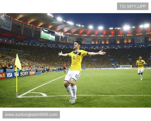 尊龙体育下载官网网址最新版本下载安装指南帮助用户快速注册登录体验精彩赛事