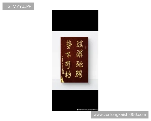 搏击人生，凯时与尊龙共同书写辉煌篇章