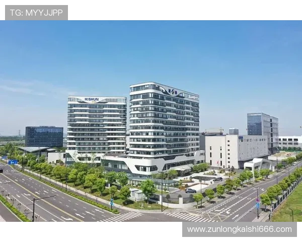 z6尊龙集团企业文化与核心价值观全面解析，助力品牌形象塑造与市场拓展