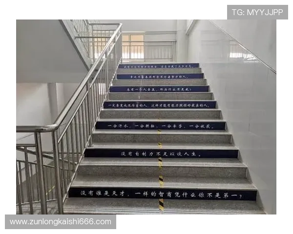 尊龙一人生就是搏：探索人生拼搏背后的心理动力与成功秘诀