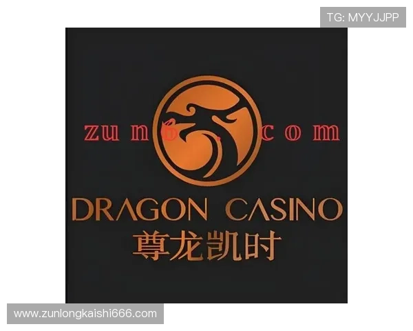 尊龙凯时官网官方平台，保障玩家账号安全与优质客服服务体验